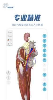 解剖大师app破解版最新下载